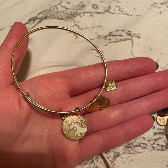 SOLD - DUPLICATED Alex and Ani Bracelets - Picture 2 of 4